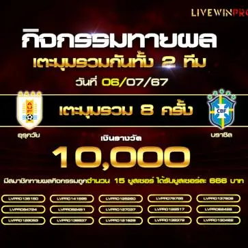 livewinpro-promo-4.webp